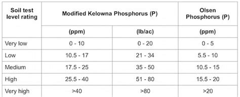 low soil vine p levels